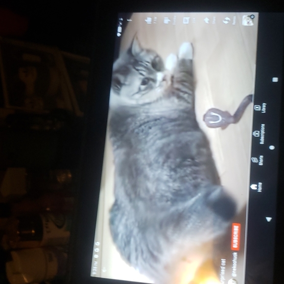 SKY PAD 10 tablet Unlocked Wi-fi Android - Picture 3 of 3